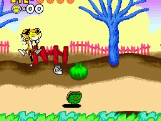 
											No! Turtles!