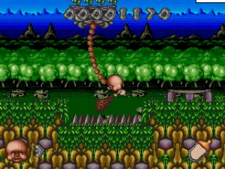 
											Swing on the vines