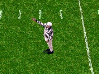 
											The referee makes a decision.