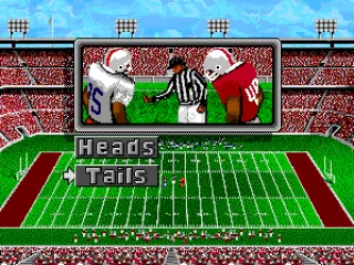 
											The coin toss