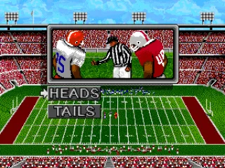 
											The coin toss
