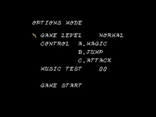 
											Options screen.