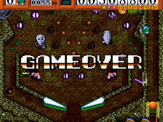 
											Game over