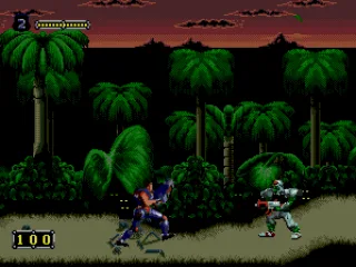 
											Jungle level