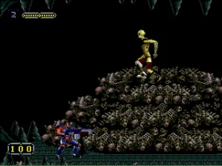 
											Junk boss
