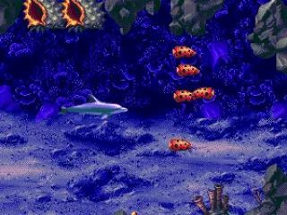 
											Colored fishes