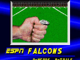 
											The coin toss