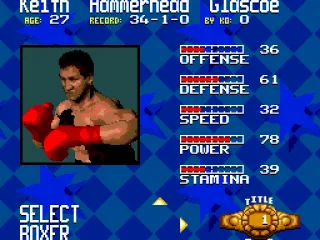 
											Boxer statistics