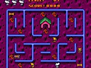 
											Mouse Maze