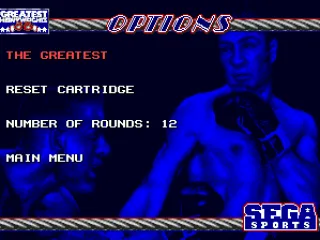 
											Options screen