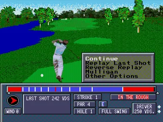 
											Options after a shot is taken