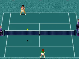 
											Ball going over the net