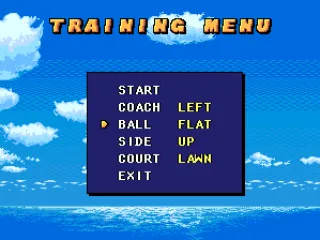 
											Training options