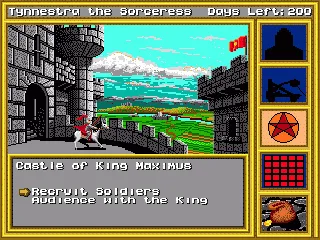 
											Inside the king's caste you can get audiences and recruit troops.