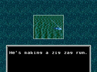 
											Zig zag run