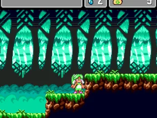 
											In a forest