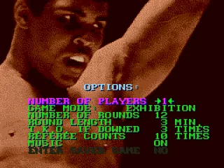 
											Options screen