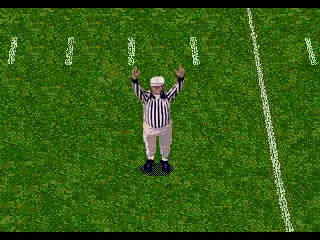 
											Official in action.