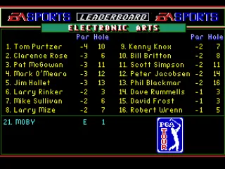
											Tournament leaderboard