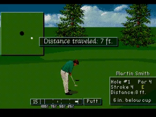 
											A bad miss for par