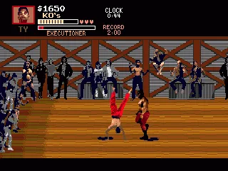 
											Some fighters have spectacular moves.
