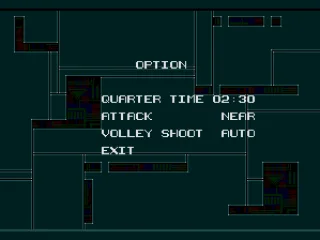 
											Options screen