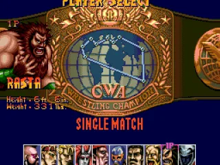 
											Character select screen