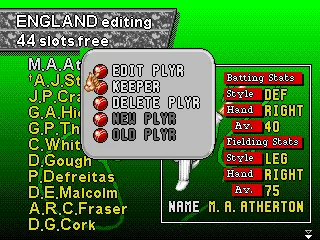 
											Editing a player