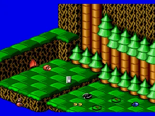 
											Starting point of level 1