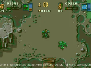 
											These frogs explode