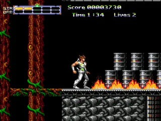 
											From far away, the nasty boss throws fire at me