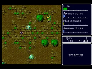 
											Wilderness area