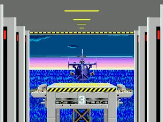 
											Level 3