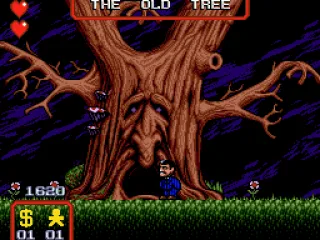 
											Old tree