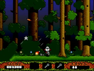 
											Forest at night