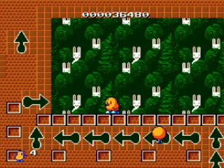 
											A field of rabbits