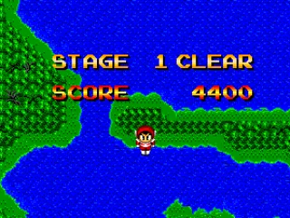 
											Stage cleared