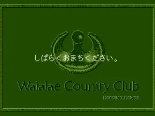 
											Loading screen