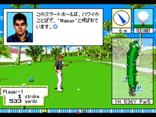 
											The caddie gives advice.