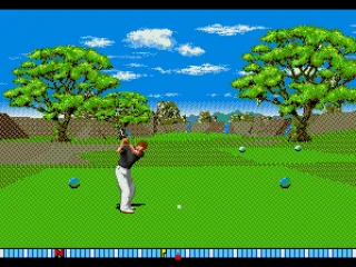 
											Swing