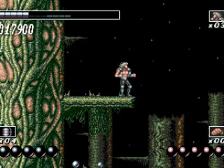 
											Jungle level