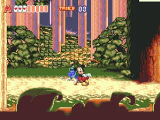 
											Forest level