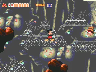 
											Web level