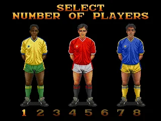
											Number of players in tournament
