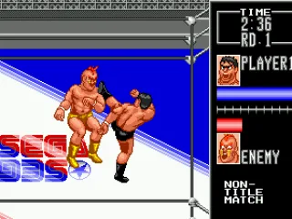 
											Landing a kick on my opponent