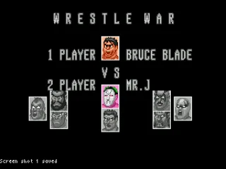 
											Two-player character select.  Player 1 must be Bruce Blade and Player 2 picks from any of the opponent characters from the single-player mode.