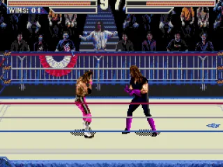 
											Undertaker punishes Bret Hart