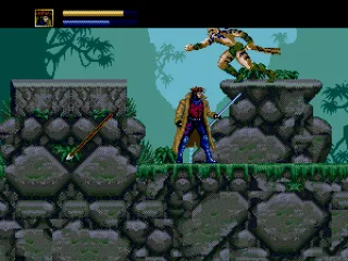 
											The Savage Land