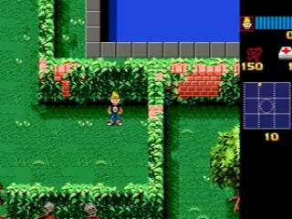 
											Starting the game