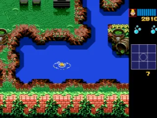 
											You can also swim